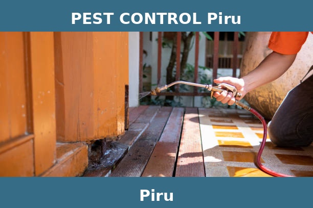 PEST CONTROL Piru